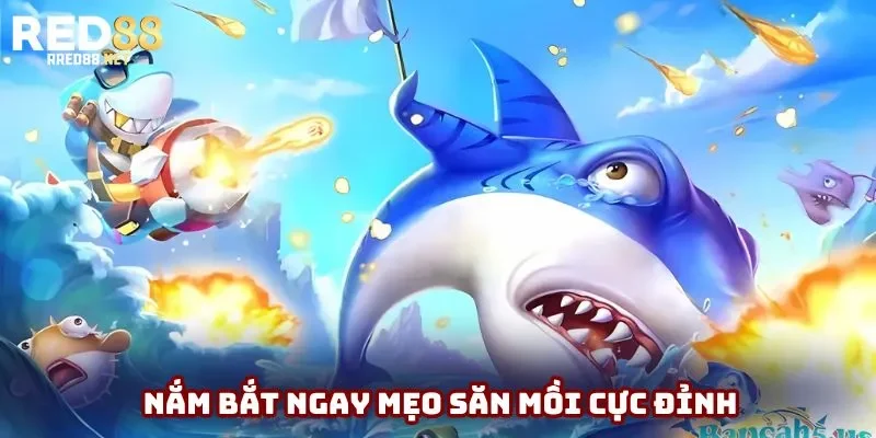 Nắm bắt ngay mẹo săn mồi cực đỉnh Nắm bắt ngay mẹo săn mồi cực đỉnh