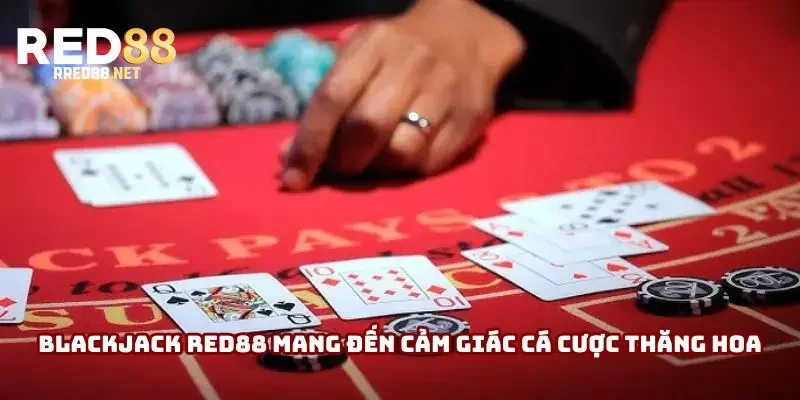 Blackjack Red88 mang đến cảm giác cá cược thăng hoa Blackjack Red88 mang đến cảm giác cá cược thăng hoa