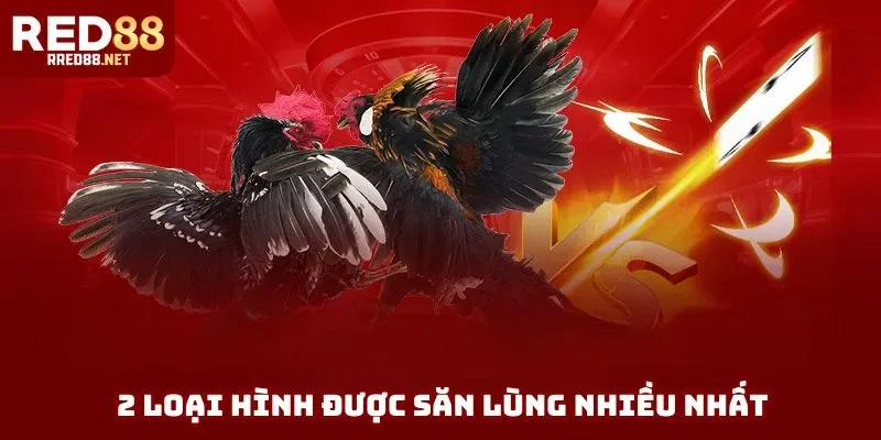 2 loại hình được săn lùng nhiều nhất 2 loại hình được săn lùng nhiều nhất