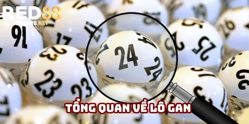 Tổng quan về lô gan Tổng quan về lô gan