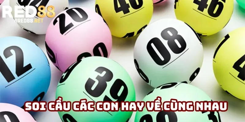 Soi cầu qua các con hay về cùng đợt Soi cầu qua các con hay về cùng đợt